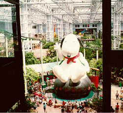 Mall_Of_America_2.jpg (26502 bytes)