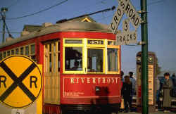 New_Orleans_068.jpg (36211 bytes)